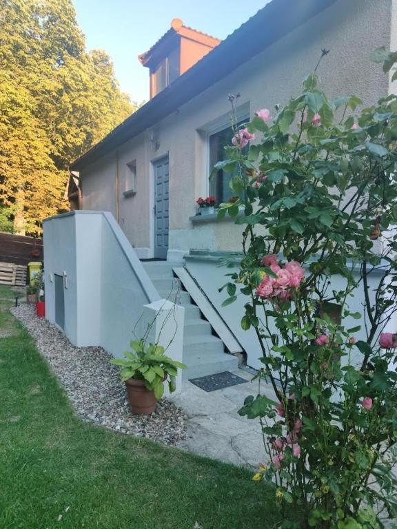 Przytulny Pokoj W Zacisznej Okolicy Z Lazienka Wspolna Dla Dwoch Pokoi Sopot Exterior photo